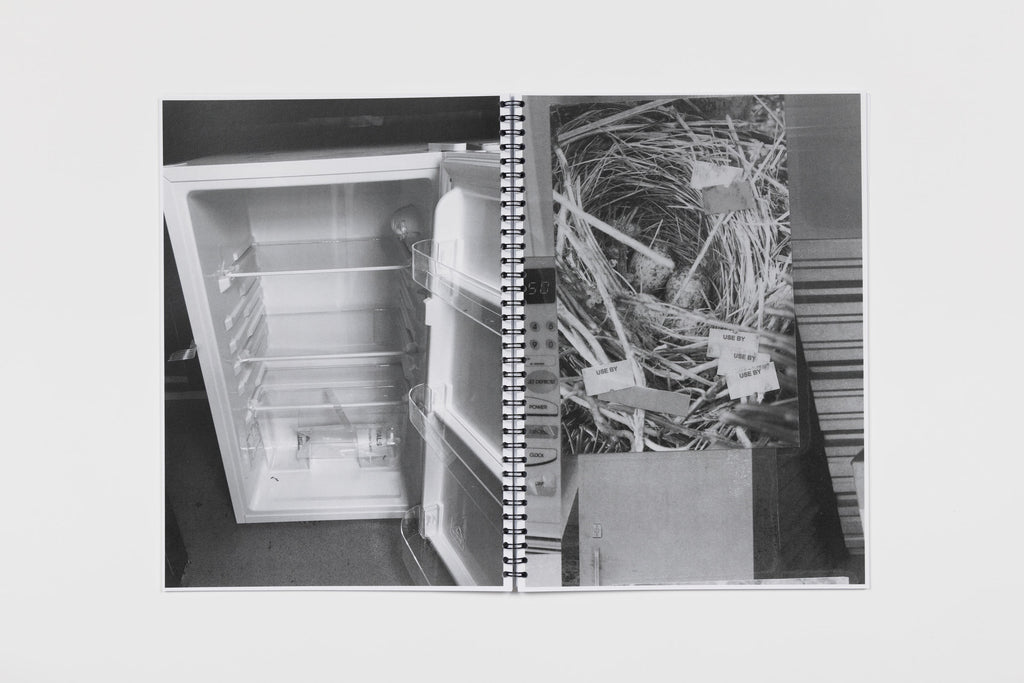 Nicholas Cheveldave, Wormhole, 2020