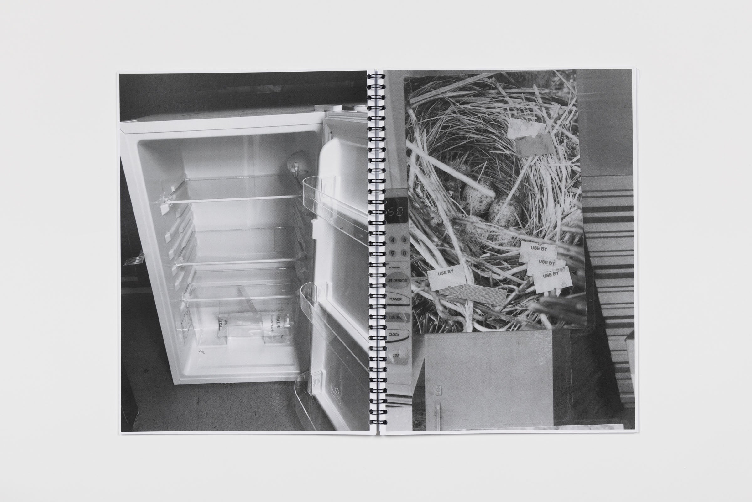 Nicholas Cheveldave, Wormhole, 2020