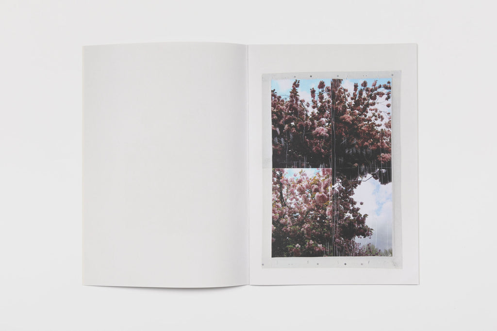 Nicholas Cheveldave, Some Kind Of Life 3, 2018