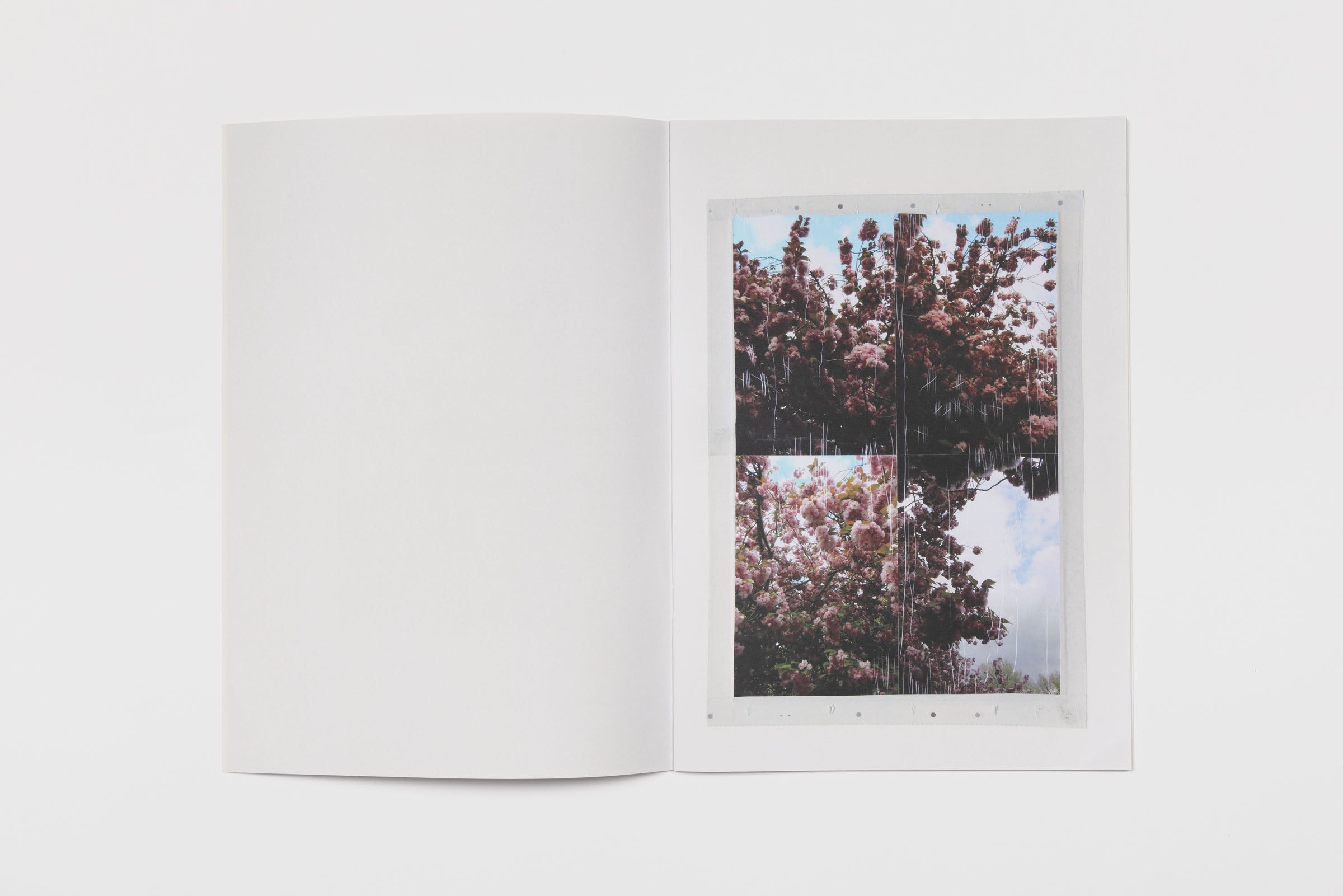 Nicholas Cheveldave, Some Kind Of Life 3, 2018