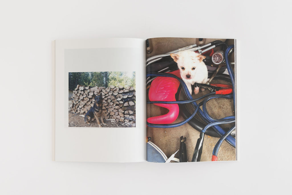 Megan Plunkett, Special Friend, 2018