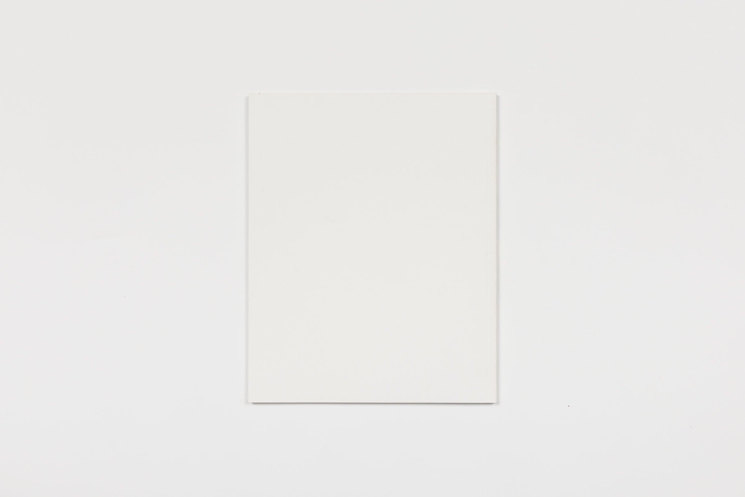 Megan Plunkett, Special Friend, 2018