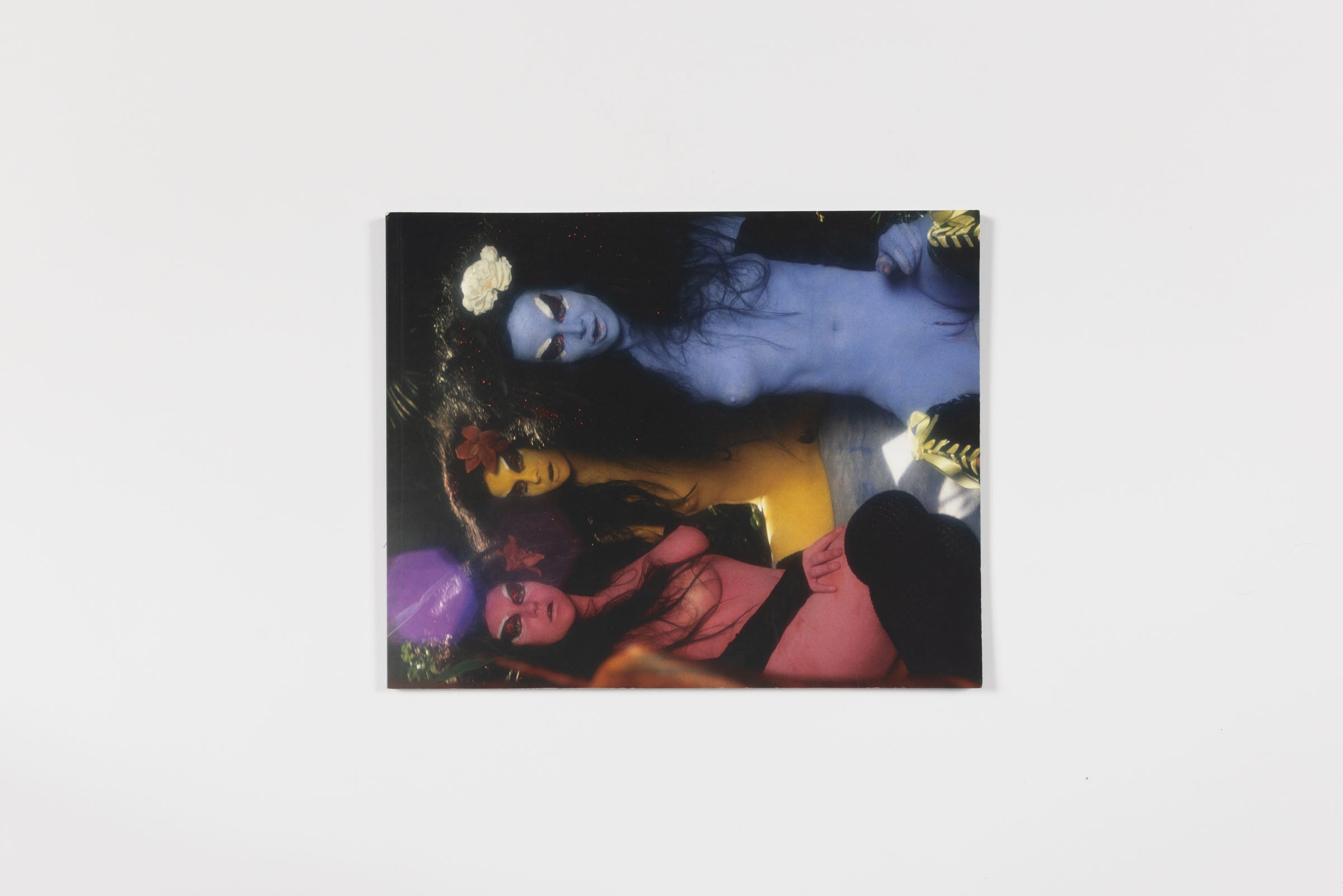 Kembra Pfahler, The Wall of Vagina, 2017