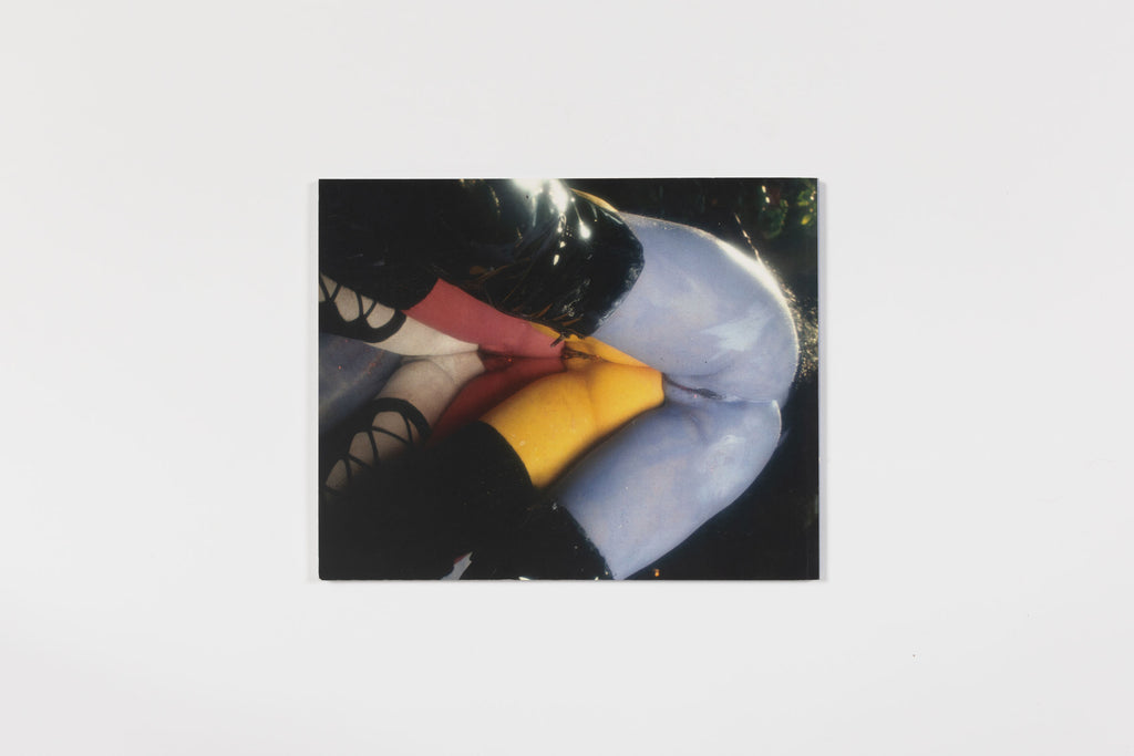 Kembra Pfahler, The Wall of Vagina, 2017