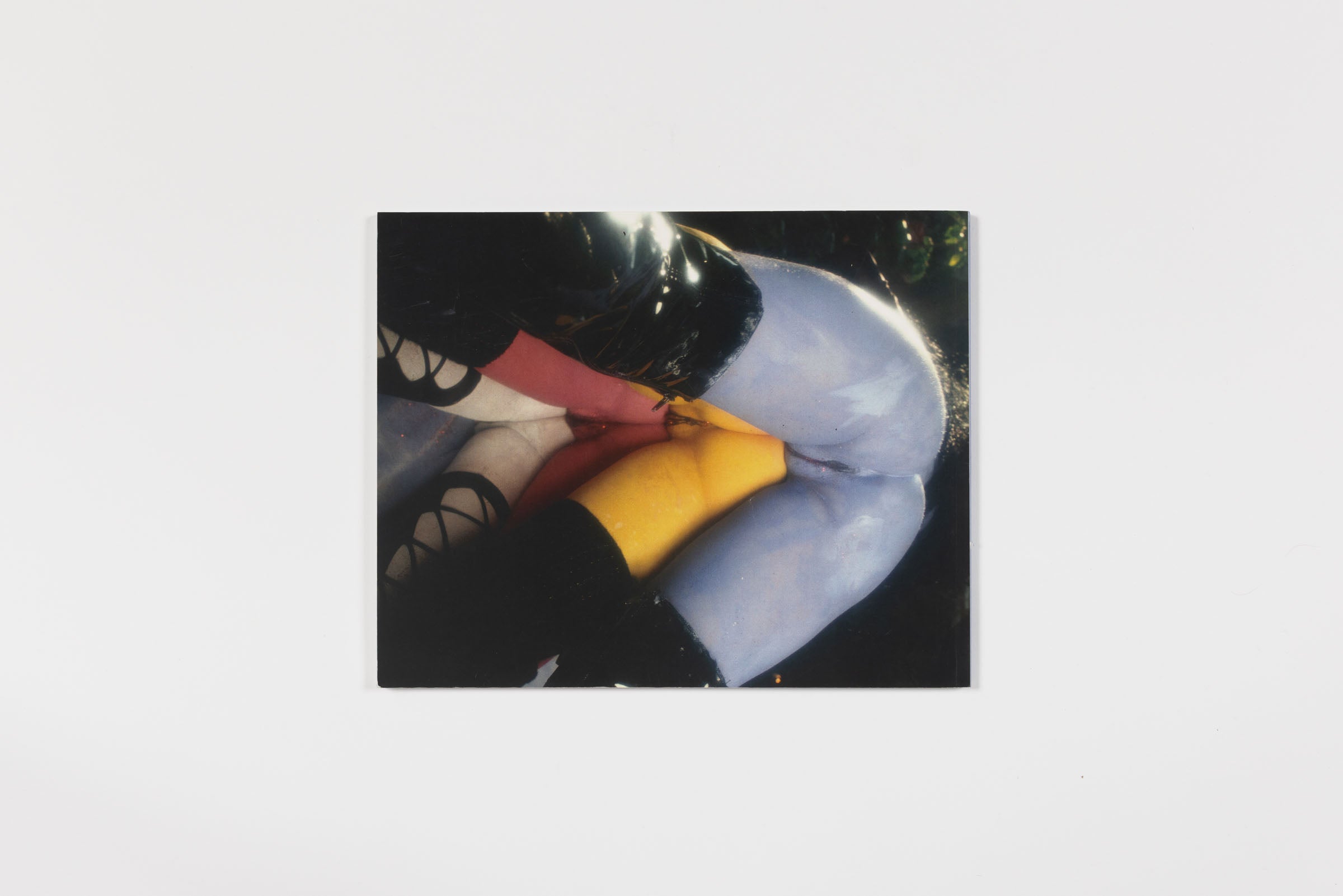 Kembra Pfahler, The Wall of Vagina, 2017