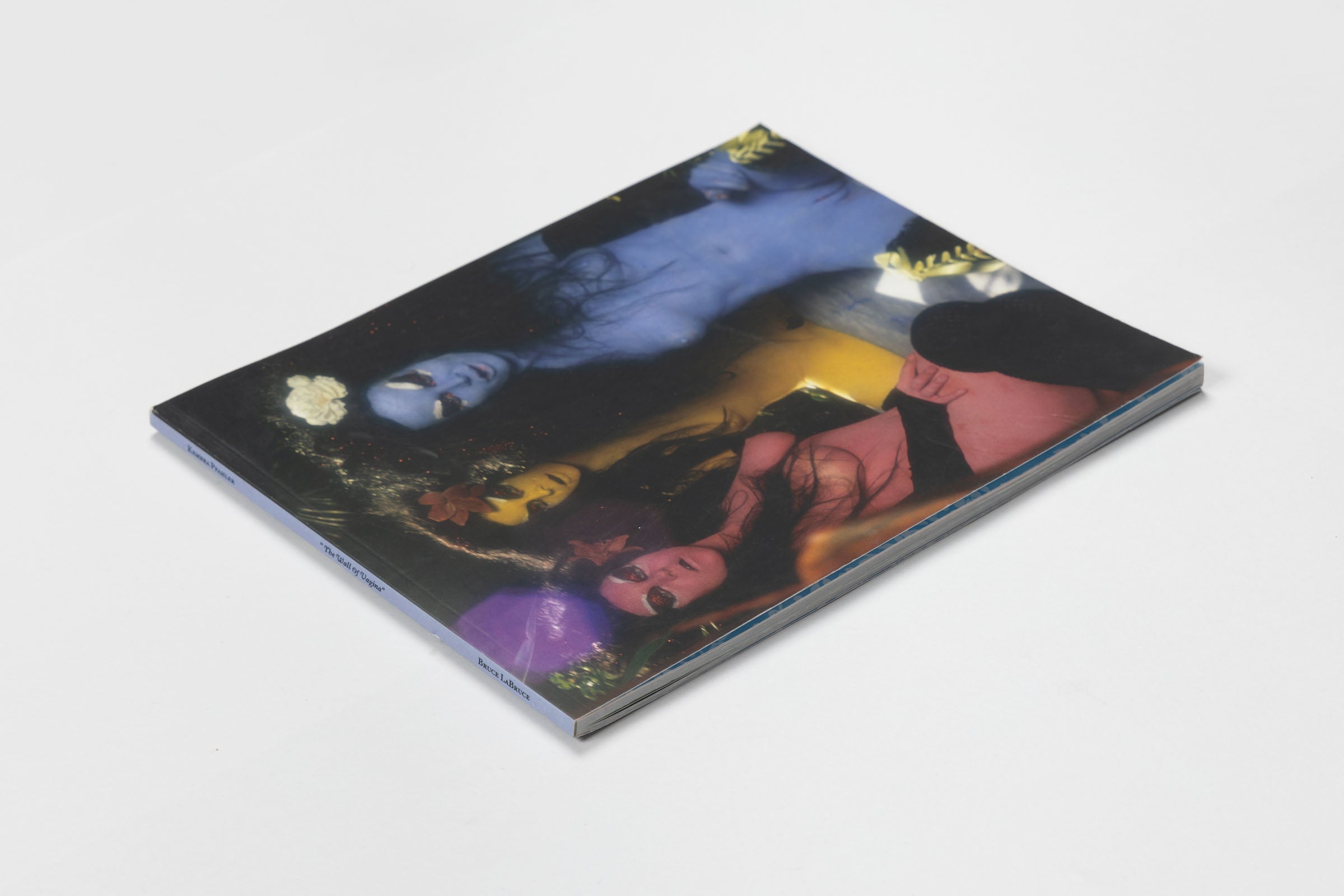 Kembra Pfahler, The Wall of Vagina, 2017