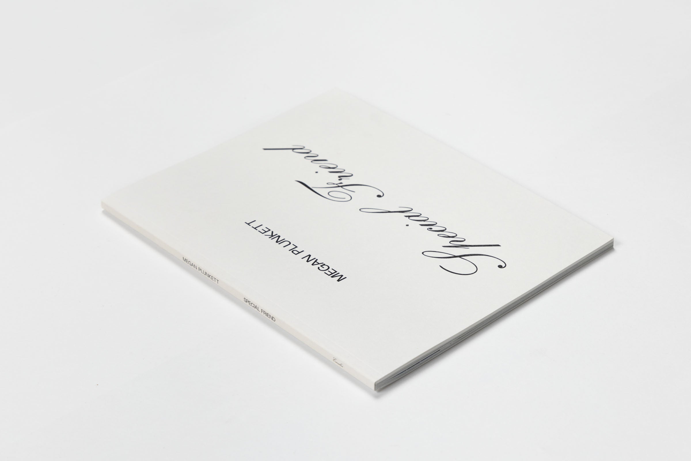 Megan Plunkett, Special Friend, 2018