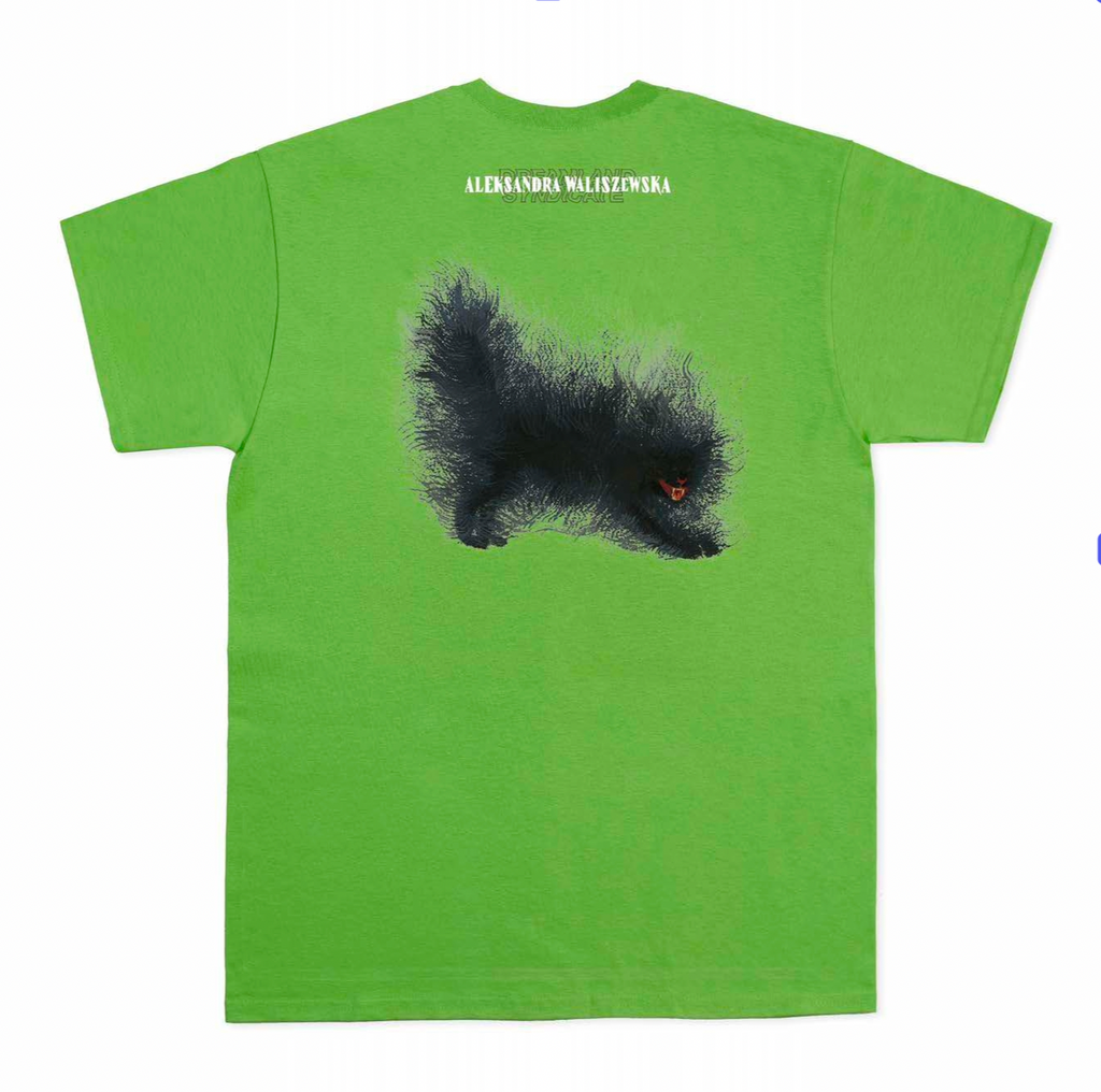 Aleksandra Waliszewska with Dreamland Syndicate: ADS-T01