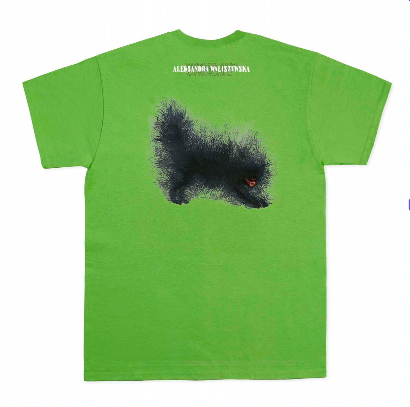 Aleksandra Waliszewska with Dreamland Syndicate: ADS-T01