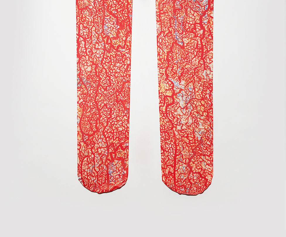 Aleksandra Waliszewska with Latające Oko: Alraune 40 DEN tights