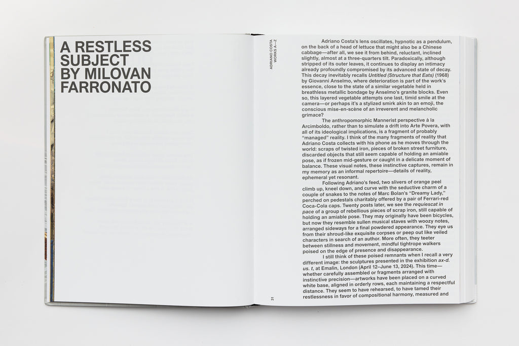 Adriano Costa, Works A–Z, 2025