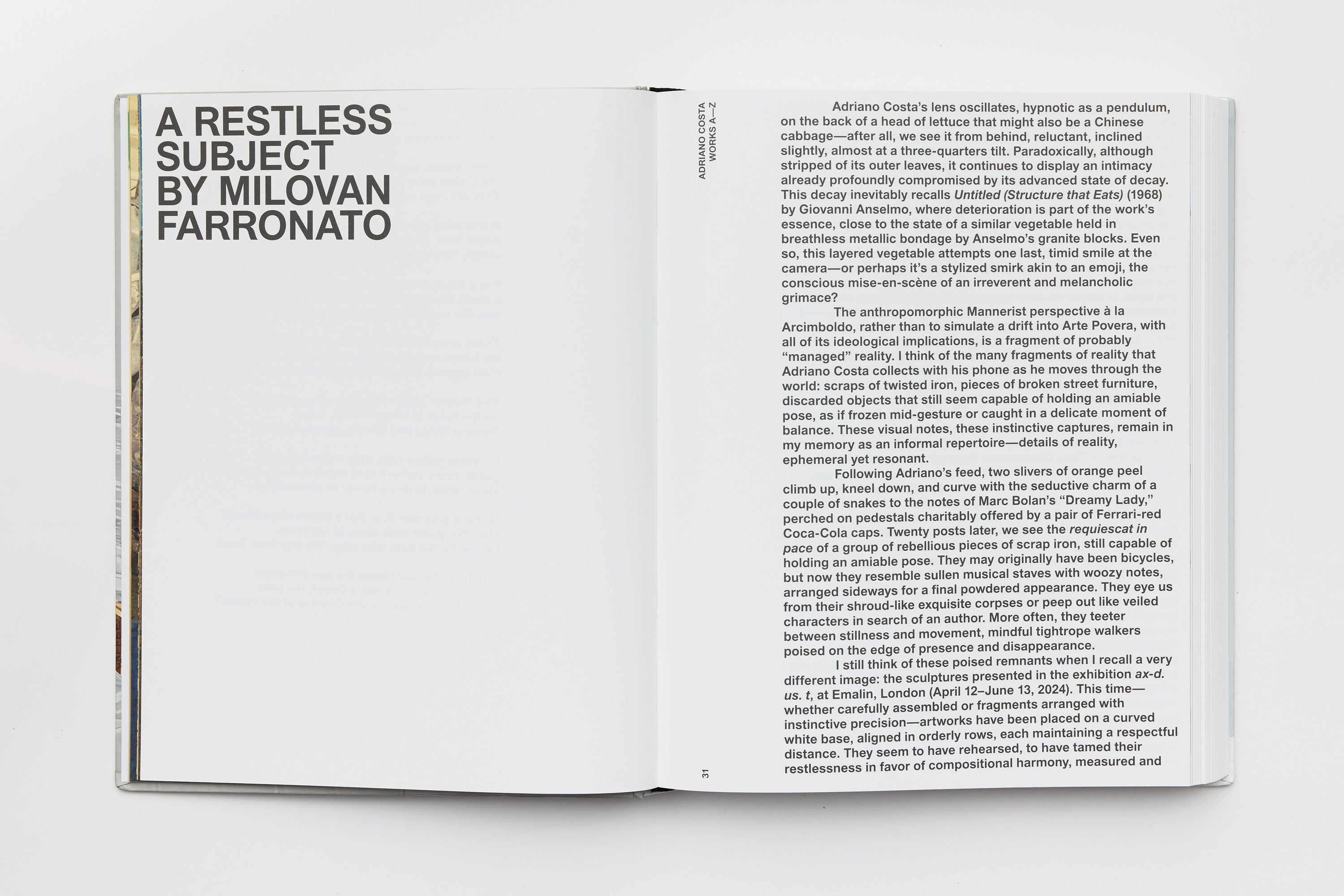 Adriano Costa, Works A–Z, 2025