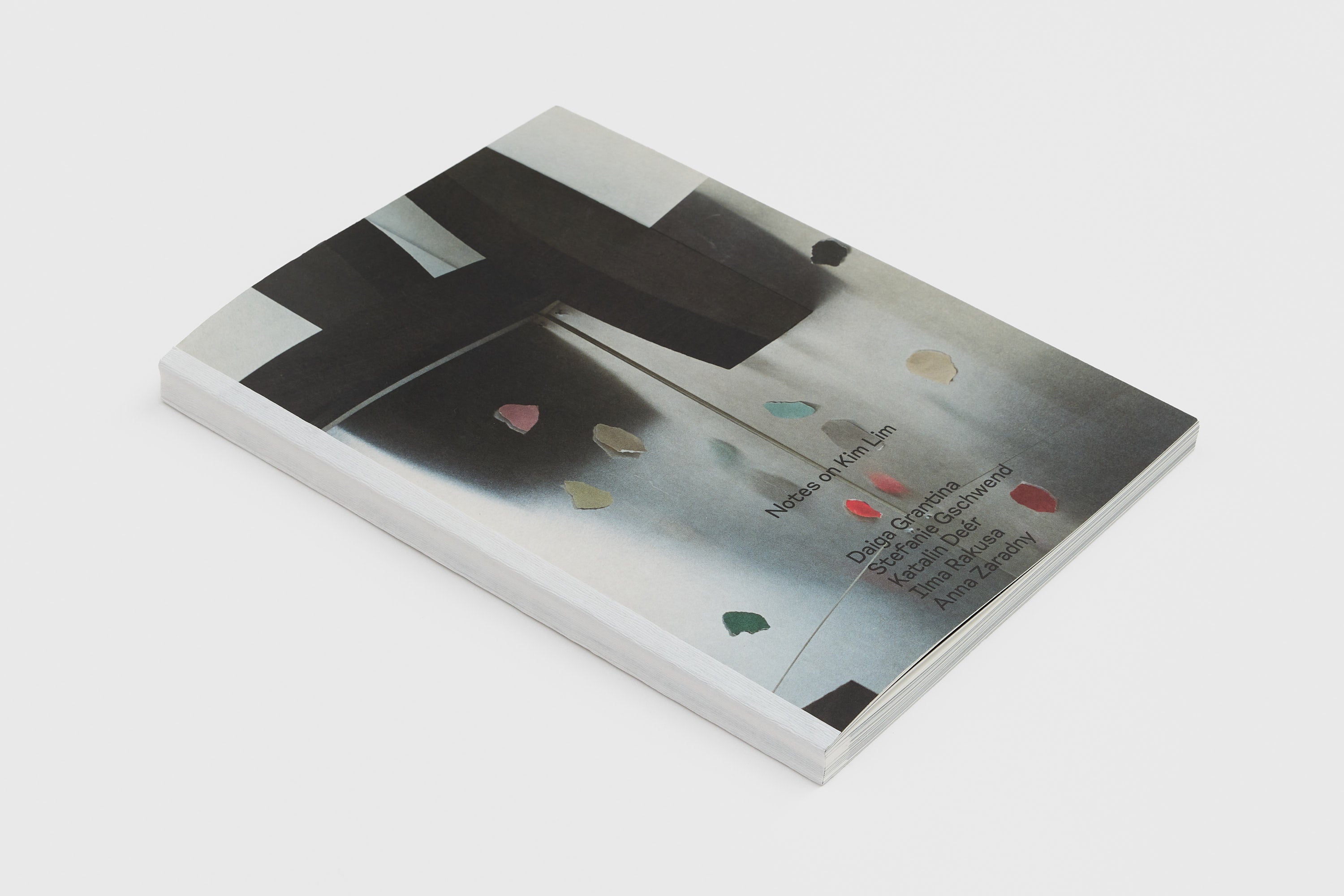 Daiga Grantina, Notes On Kim Lim, 2025