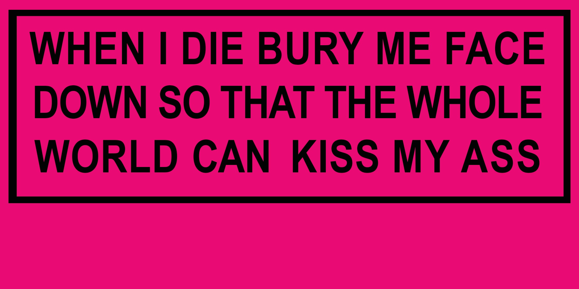 Megan Plunkett: WHEN I DIE BURY ME FACE DOWN SO THAT THE WHOLE WORLD CAN KISS MY ASS bumper sticker