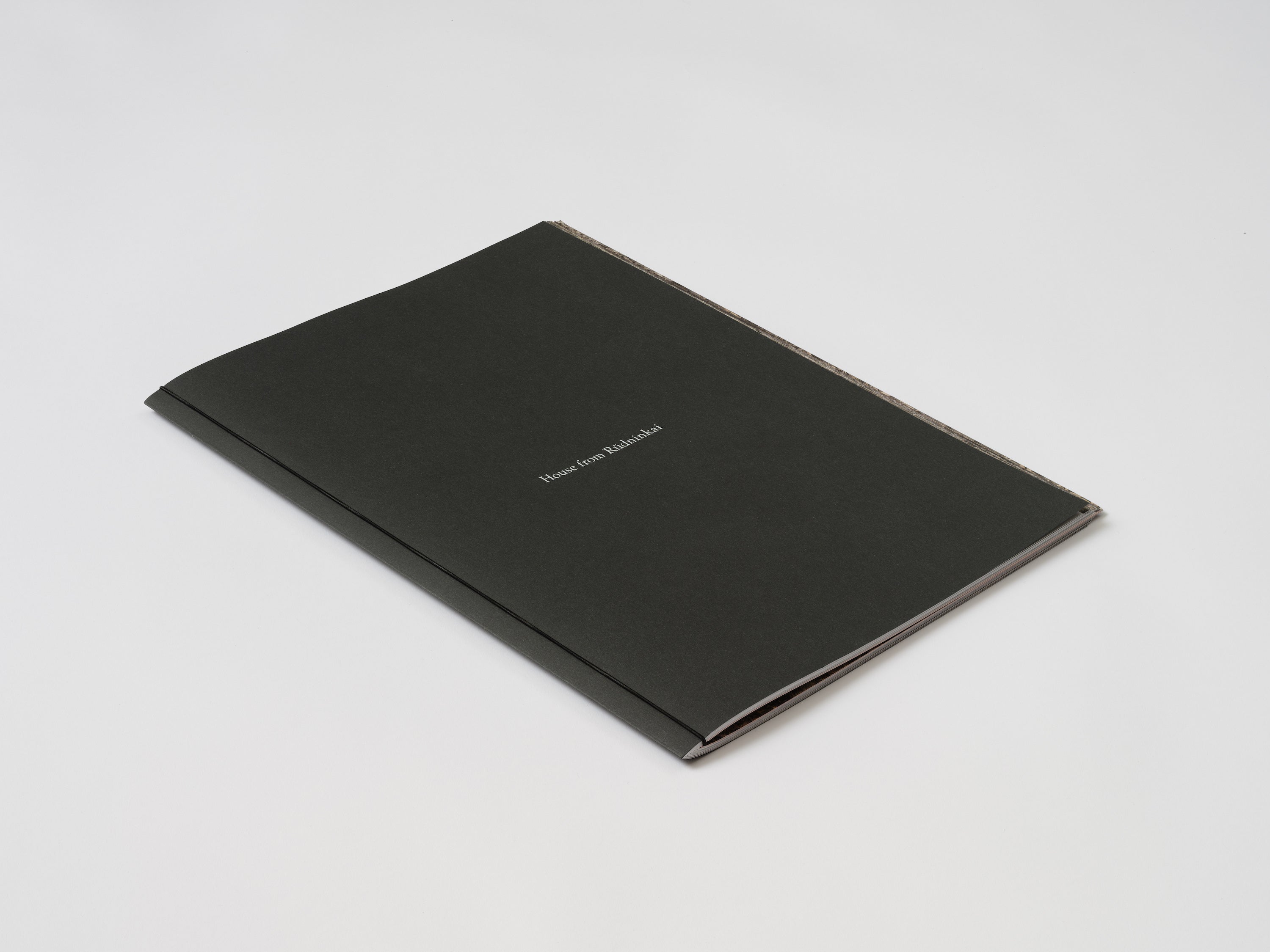 Augustas Serapinas, House from Rūdninkai, 2022