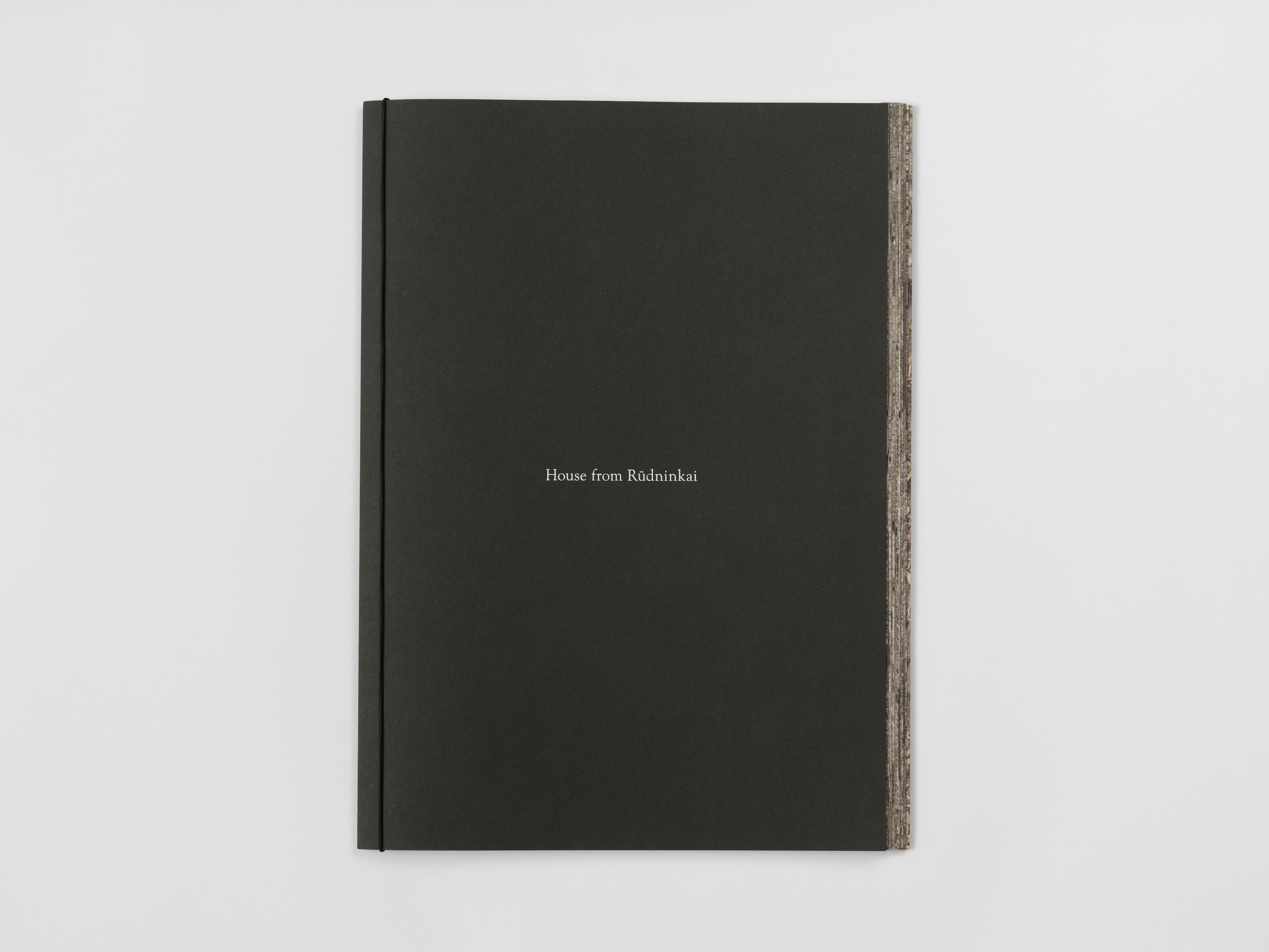 Augustas Serapinas, House from Rūdninkai, 2022