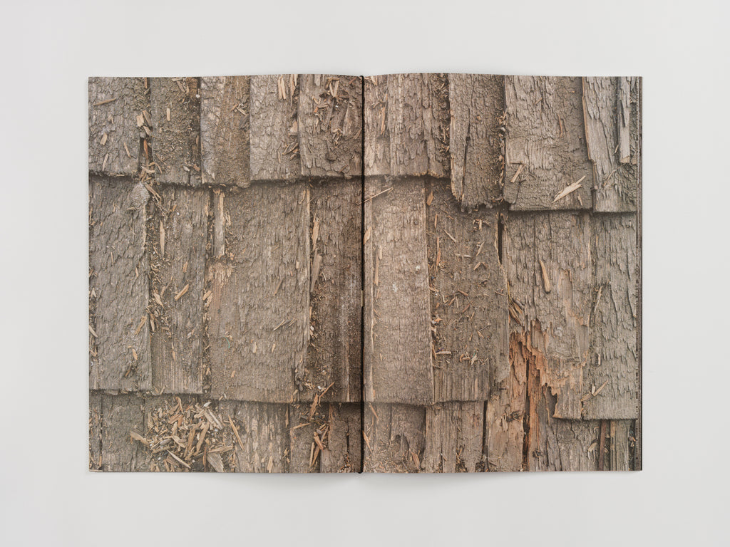 Augustas Serapinas, House from Rūdninkai, 2022