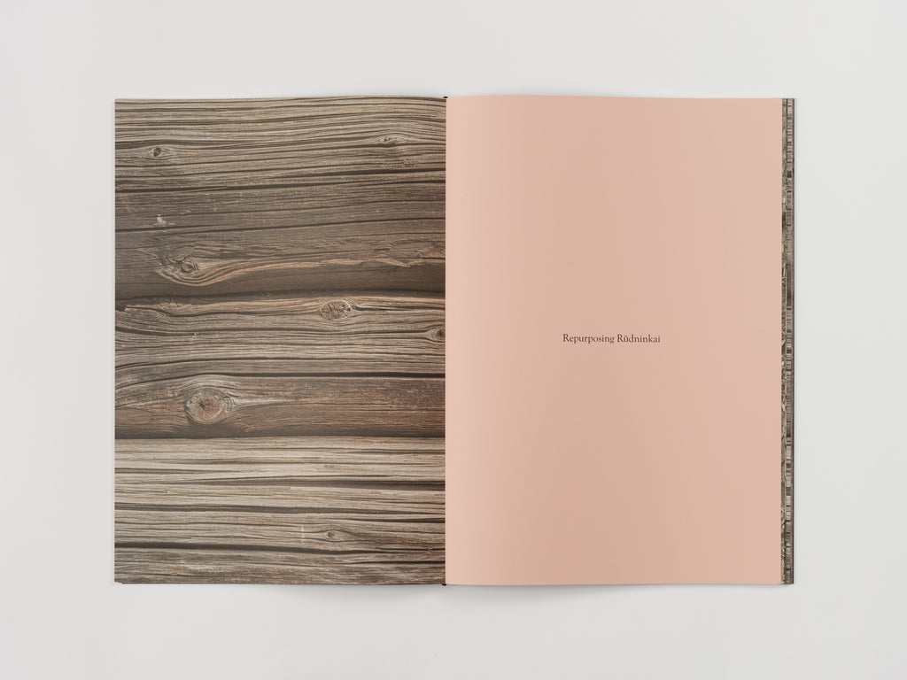 Augustas Serapinas, House from Rūdninkai, 2022