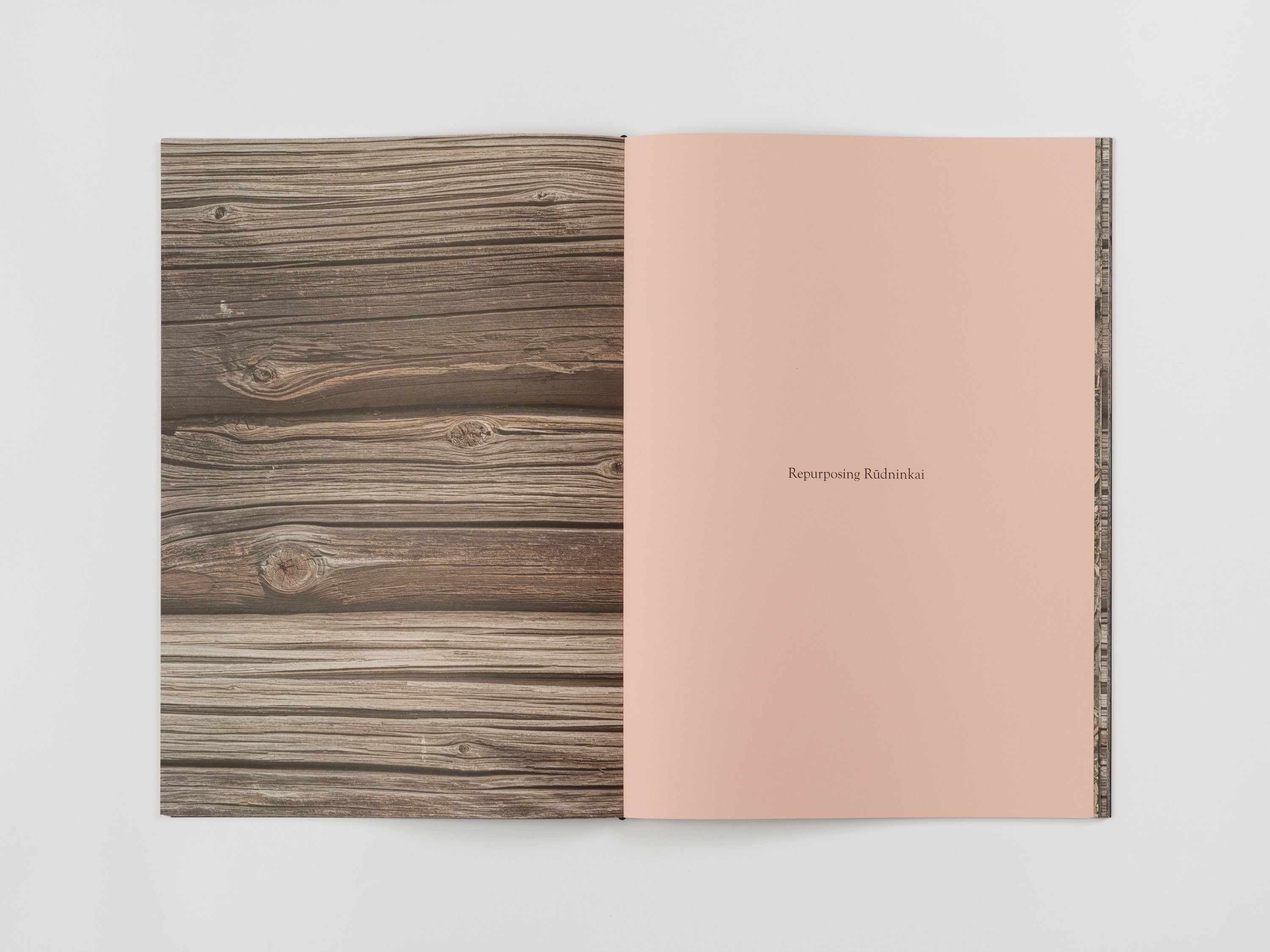 Augustas Serapinas, House from Rūdninkai, 2022