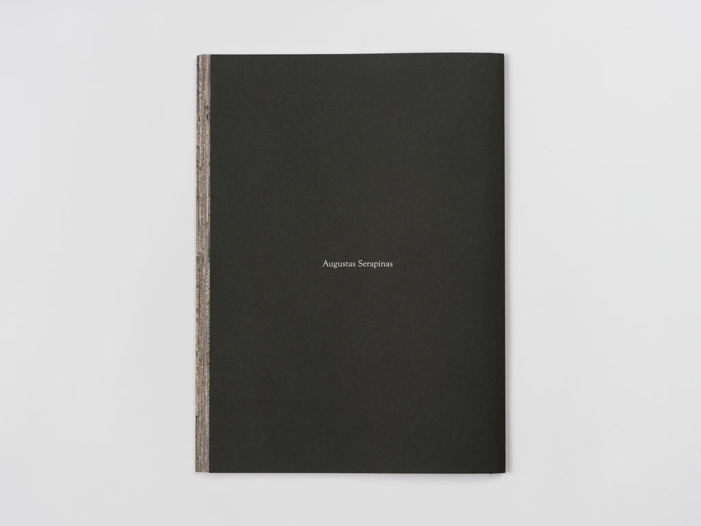 Augustas Serapinas, House from Rūdninkai, 2022