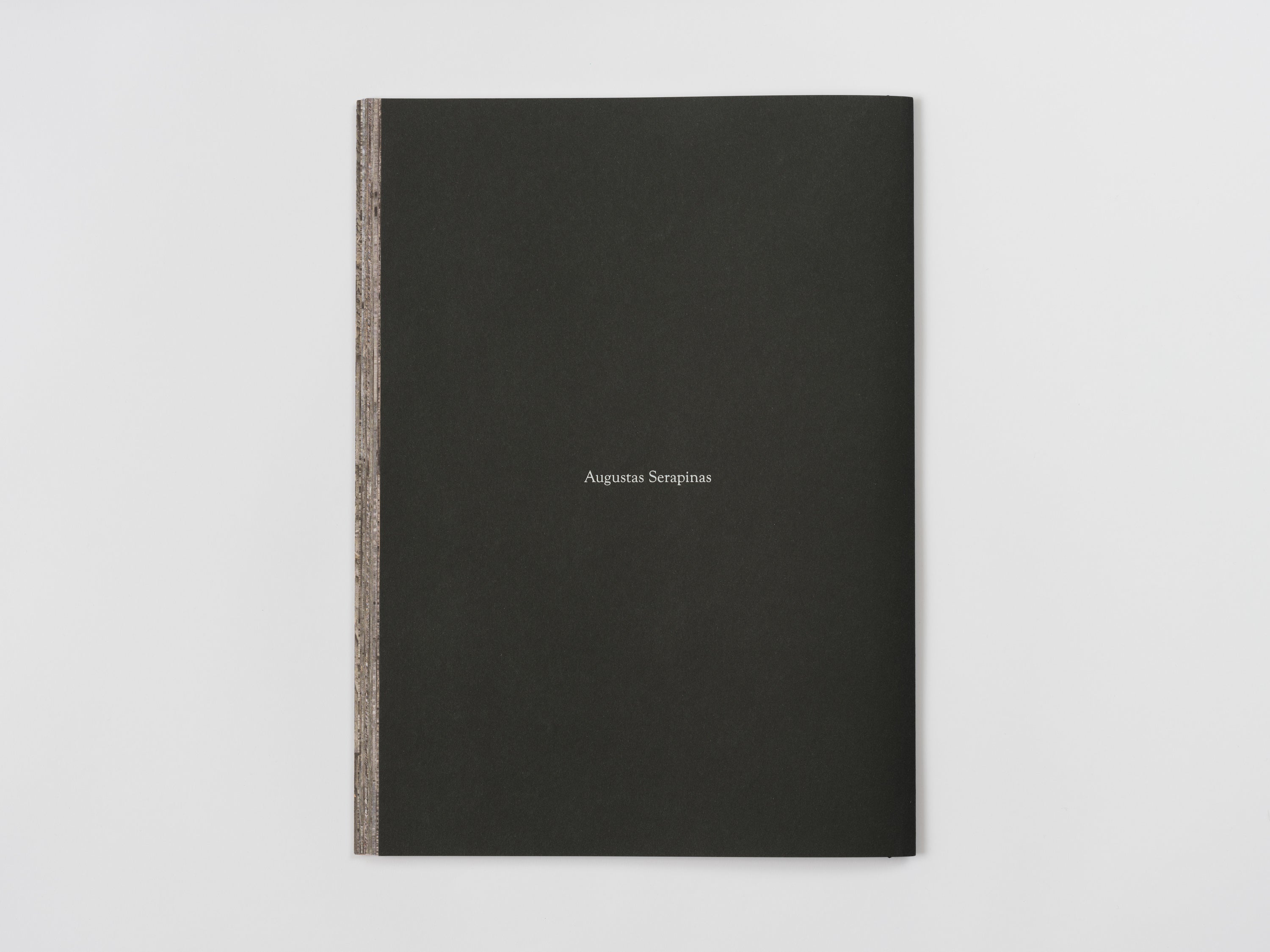 Augustas Serapinas, House from Rūdninkai, 2022