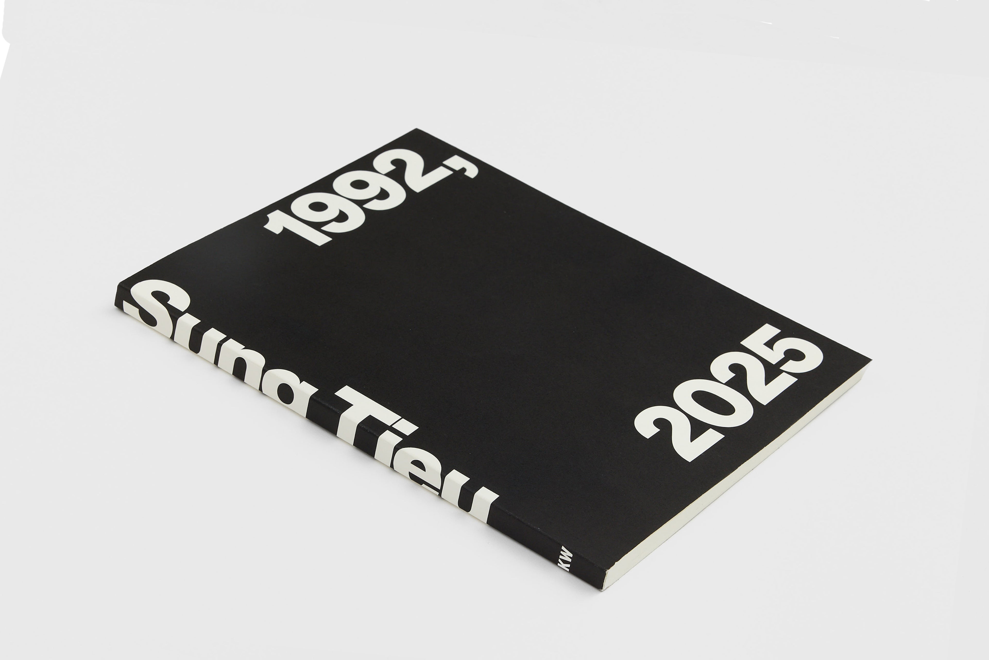 Sung Tieu, 1992 – 2025, 2025