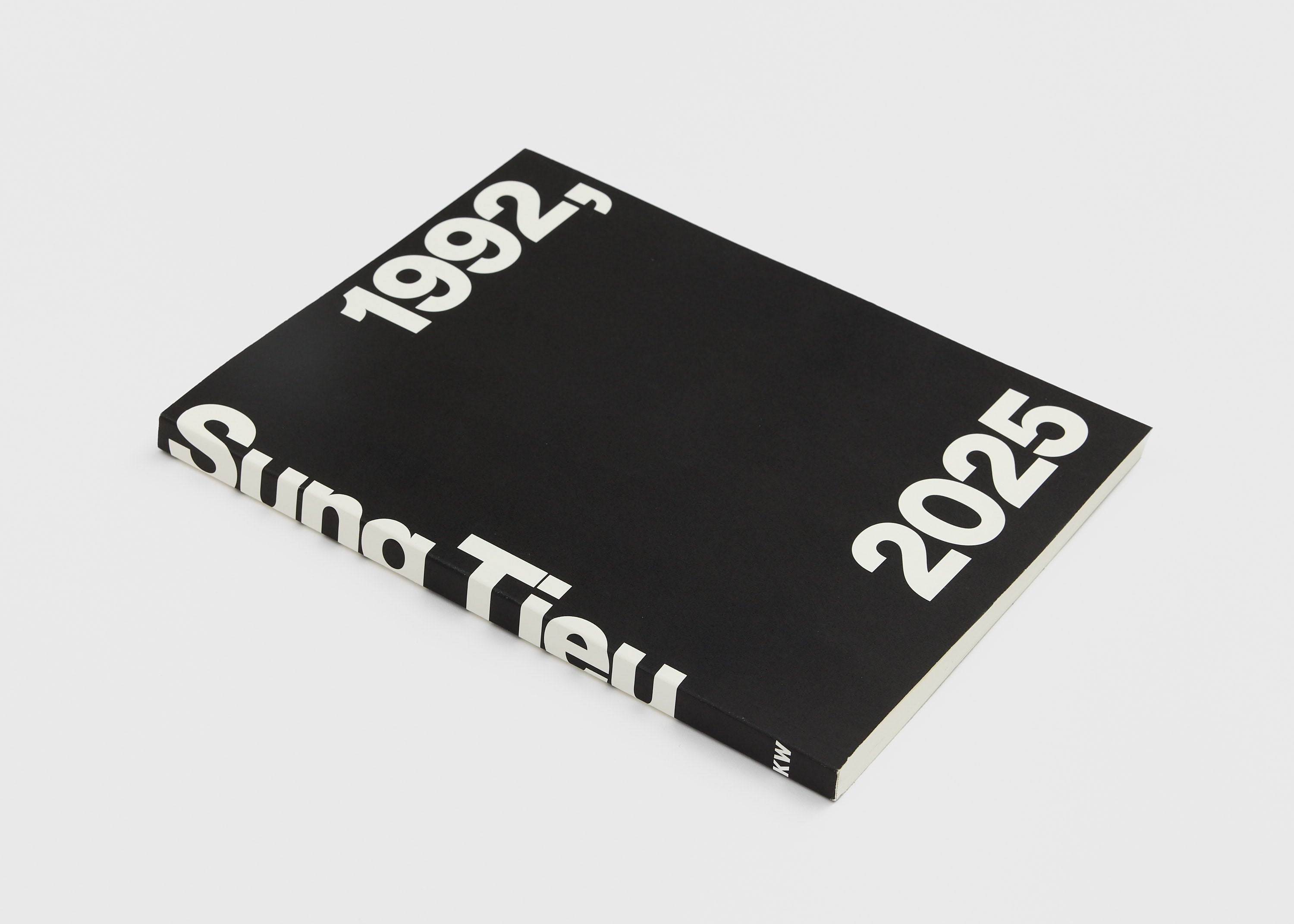 Sung Tieu, 1992 – 2025, 2025