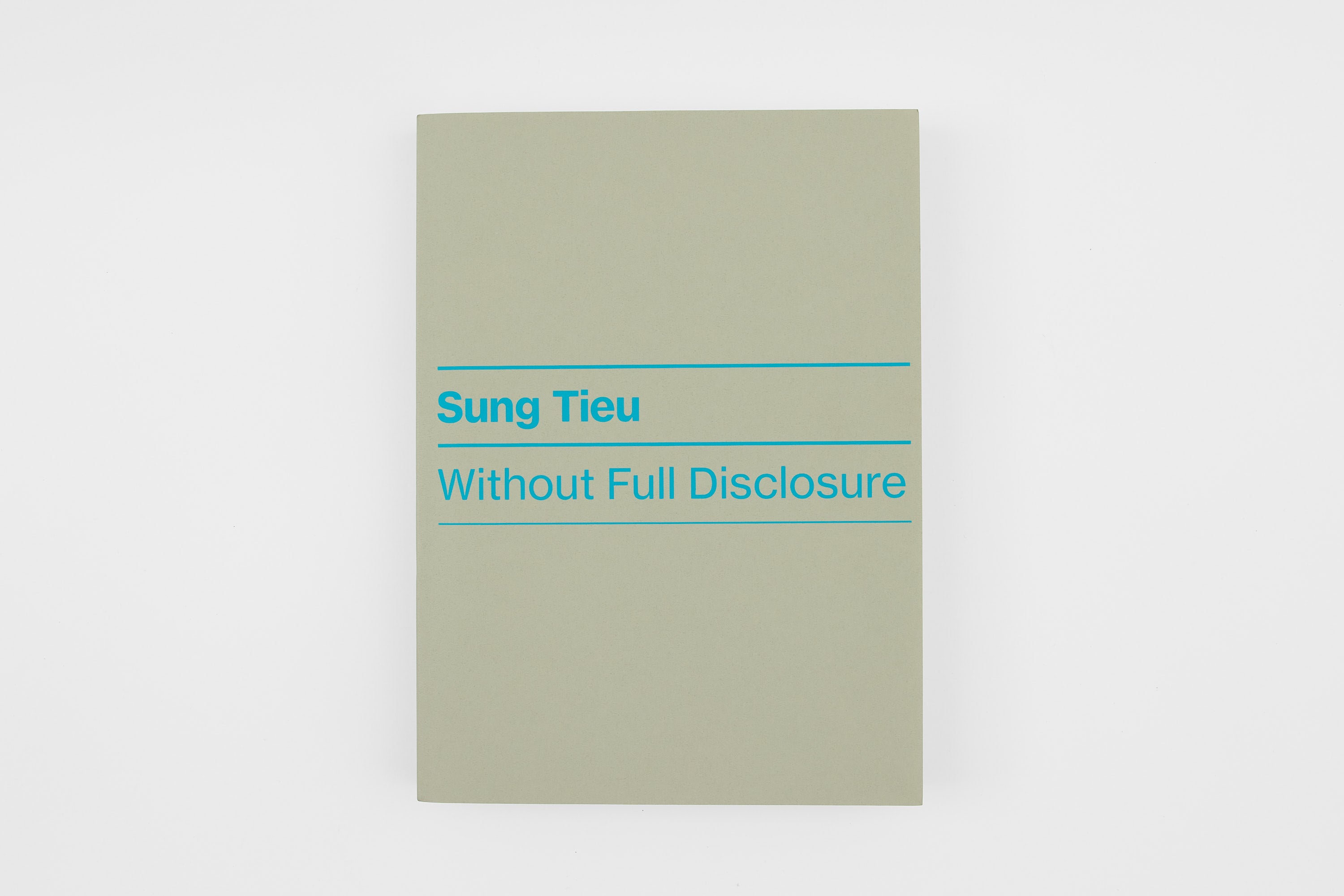 Sung Tieu, Without Full Disclosure, 2024
