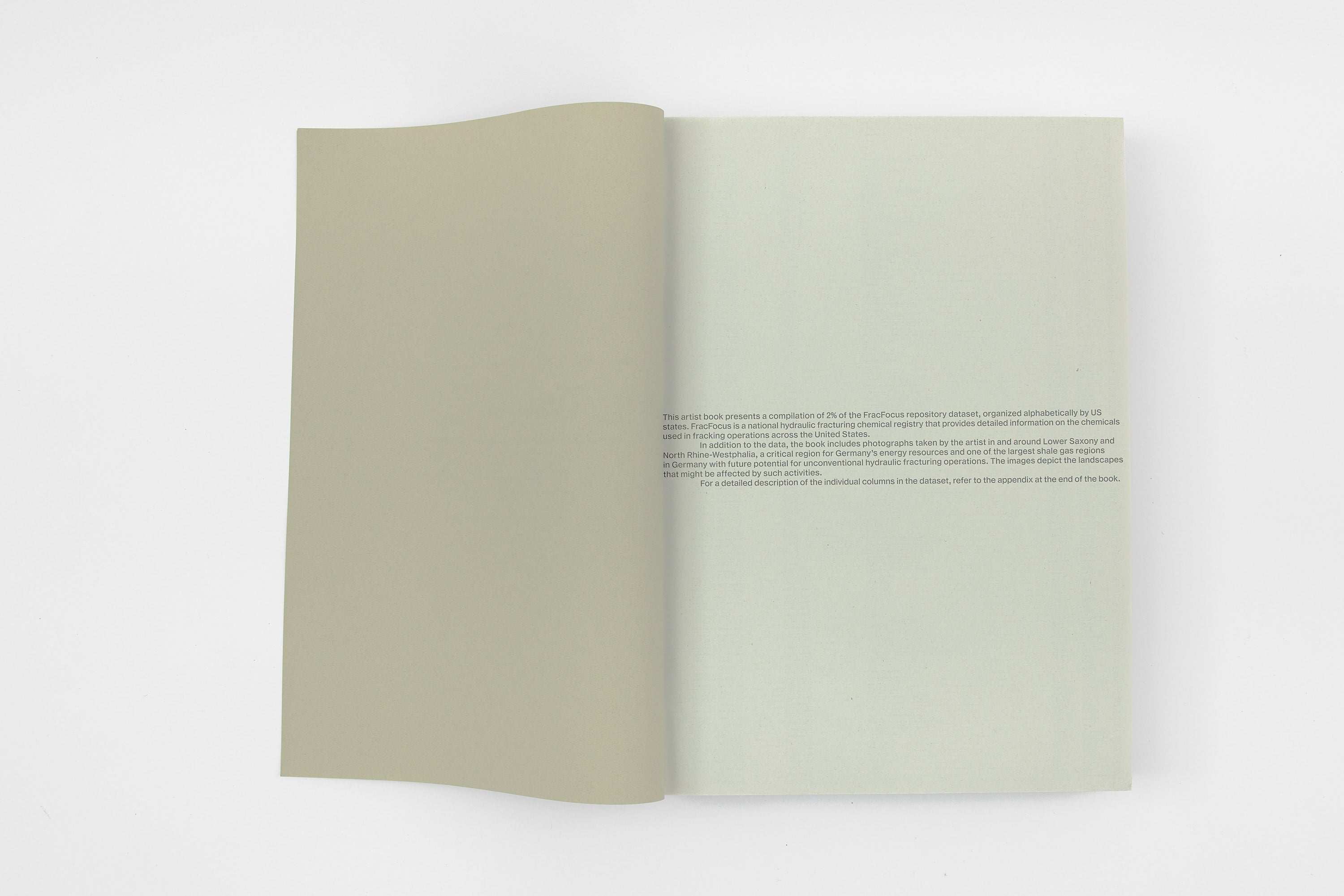 Sung Tieu, Without Full Disclosure, 2024