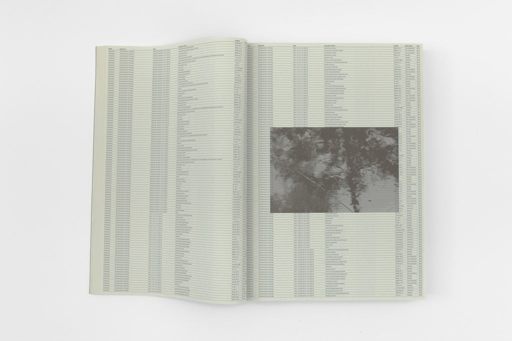 Sung Tieu, Without Full Disclosure, 2024