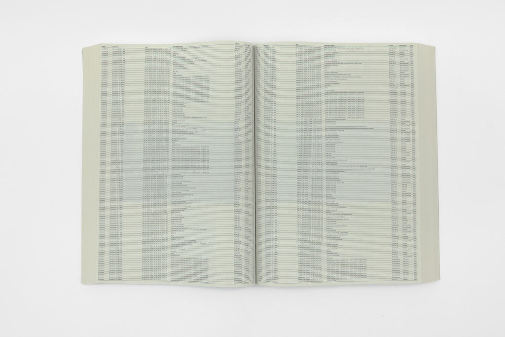 Sung Tieu, Without Full Disclosure, 2024