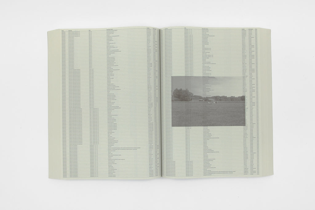 Sung Tieu, Without Full Disclosure, 2024