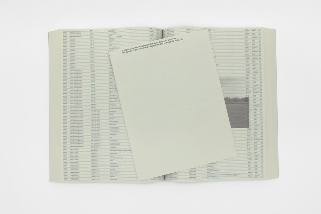 Sung Tieu, Without Full Disclosure, 2024