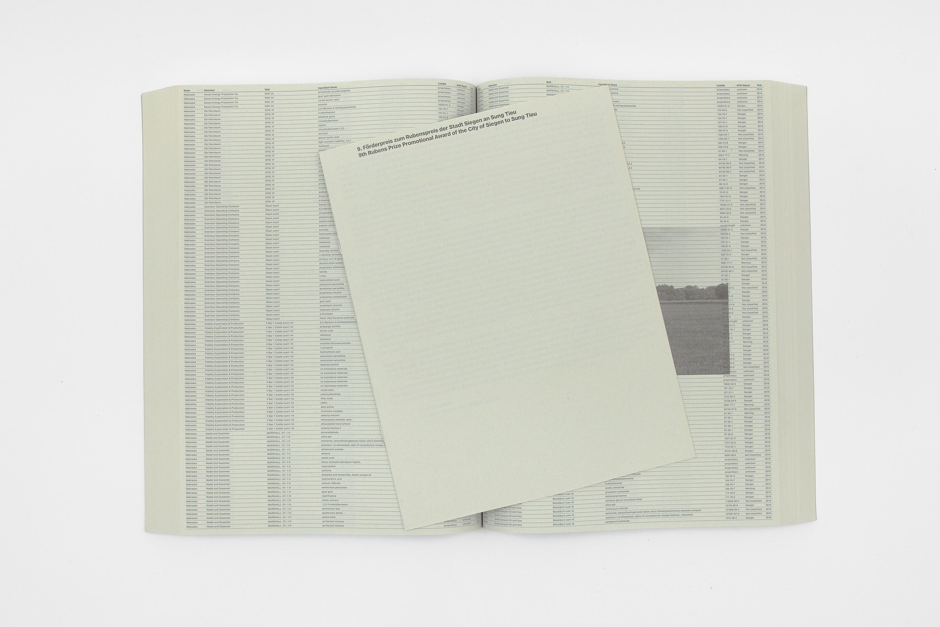 Sung Tieu, Without Full Disclosure, 2024