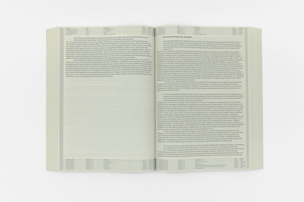 Sung Tieu, Without Full Disclosure, 2024