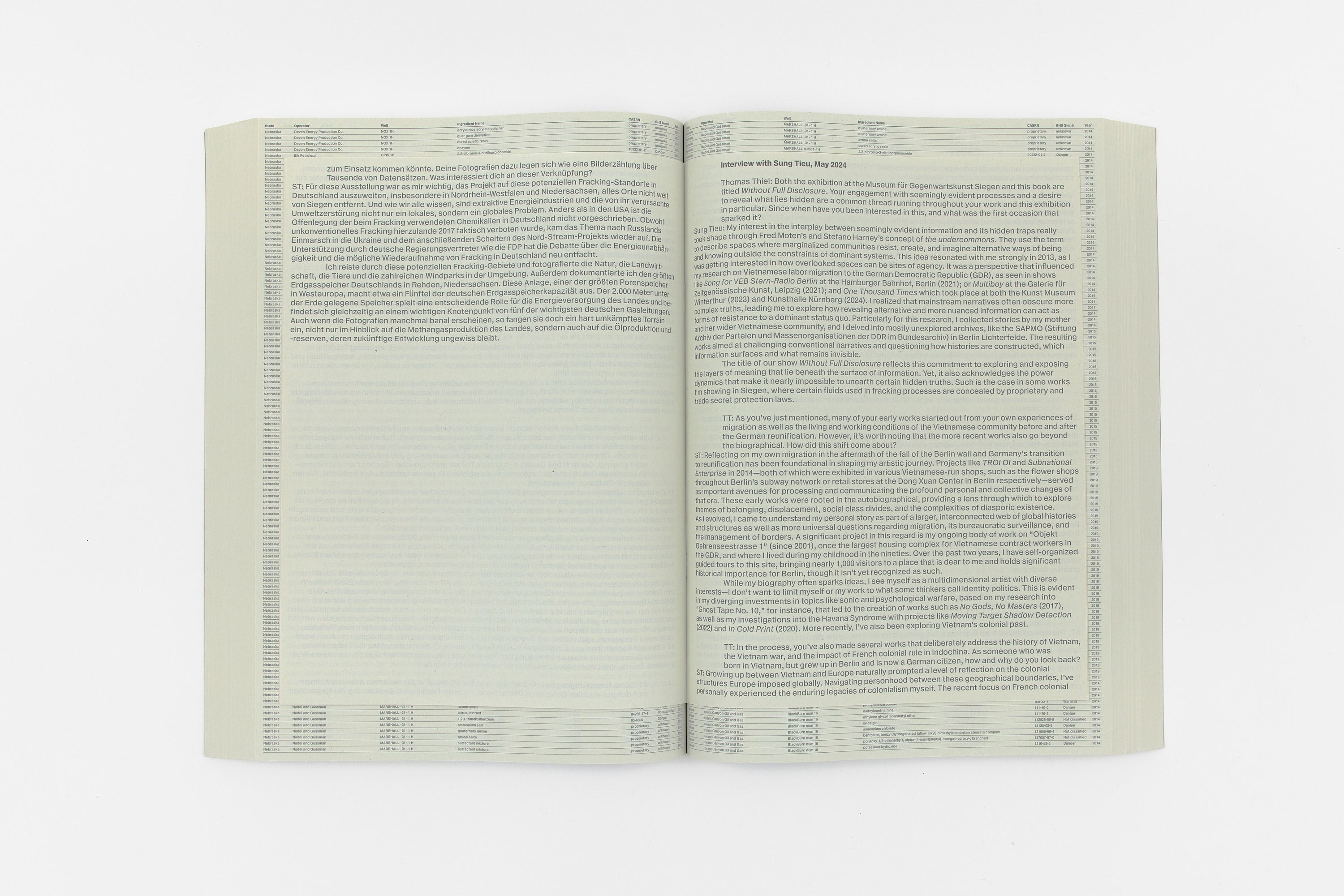 Sung Tieu, Without Full Disclosure, 2024